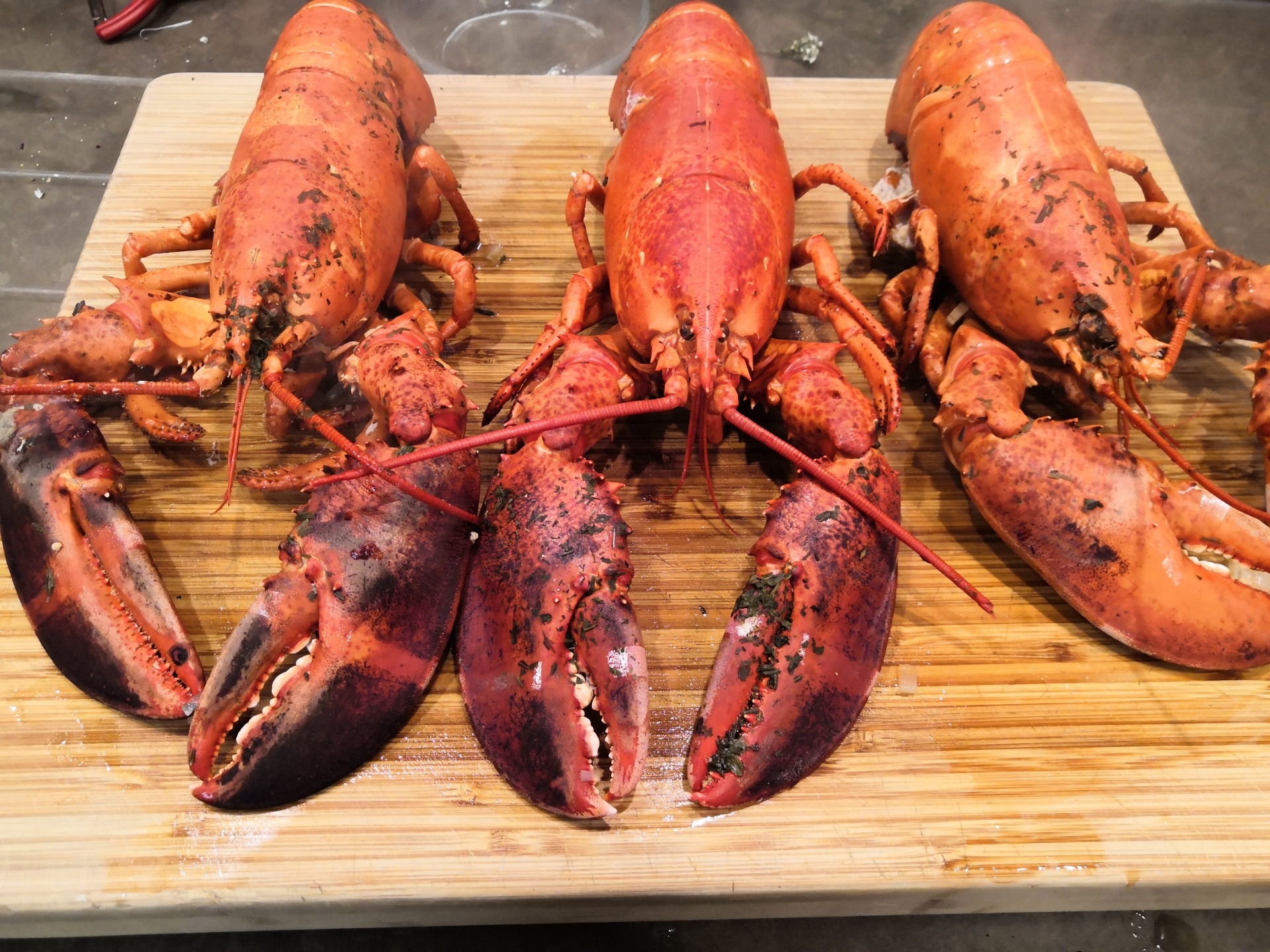 Kreeft? Kreeft! Uitgekookt